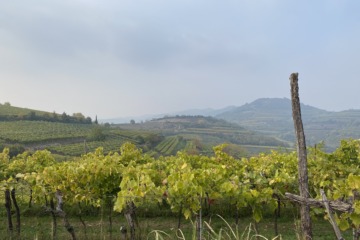 Percorso dei dieci capitelli - Soave