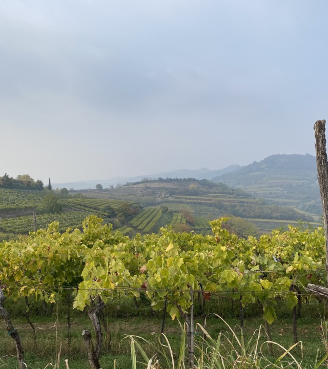 Percorso dei dieci capitelli - Soave