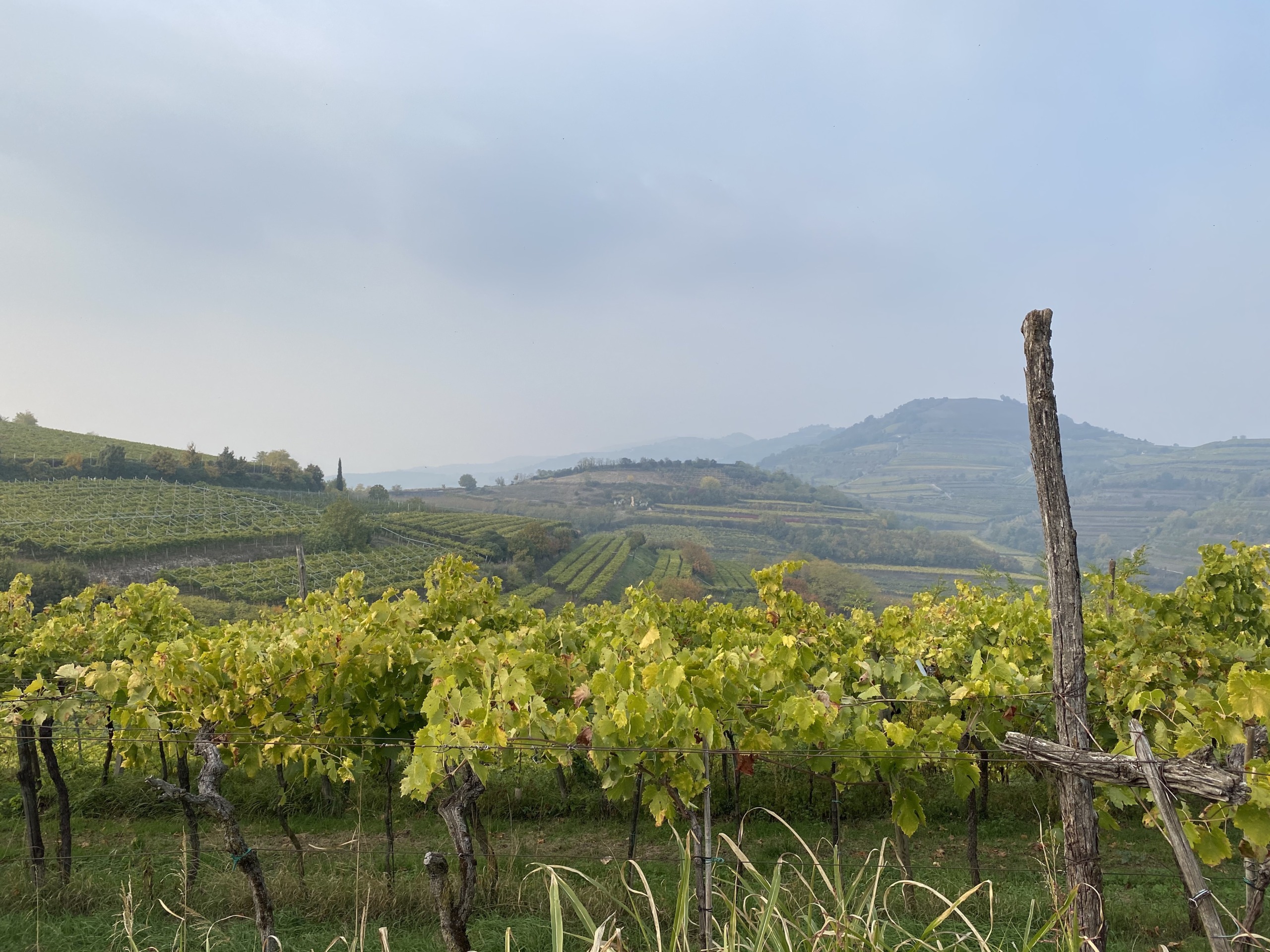 Percorso dei dieci capitelli - Soave