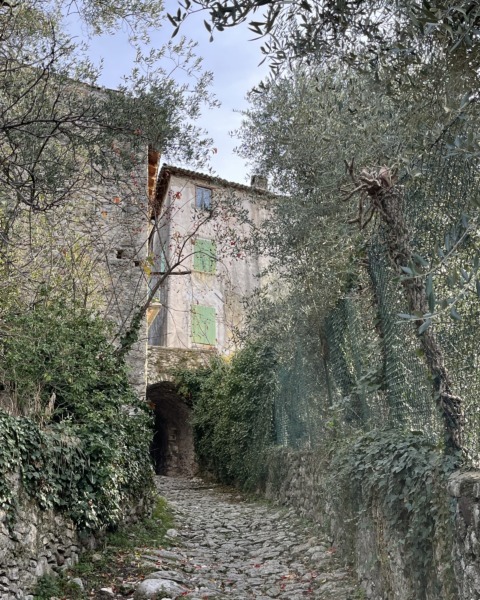 Campo di Brenzone strada