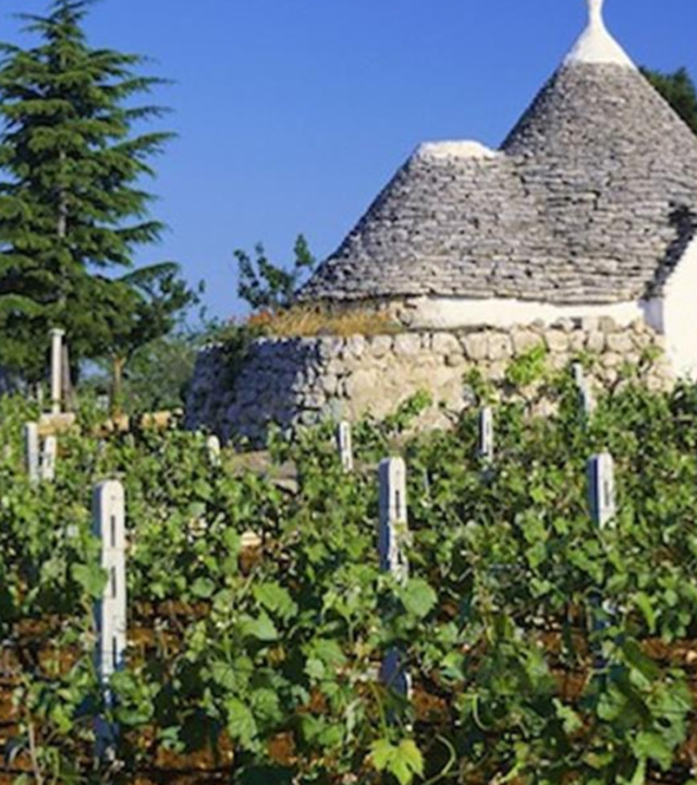 A spasso per Le Murge