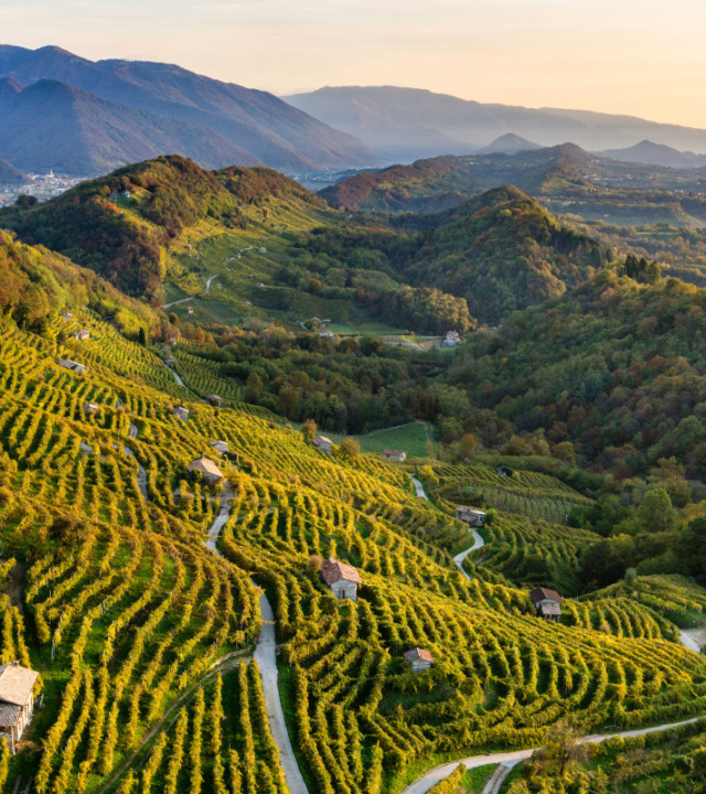 A tavola con il produttore: Varaschin