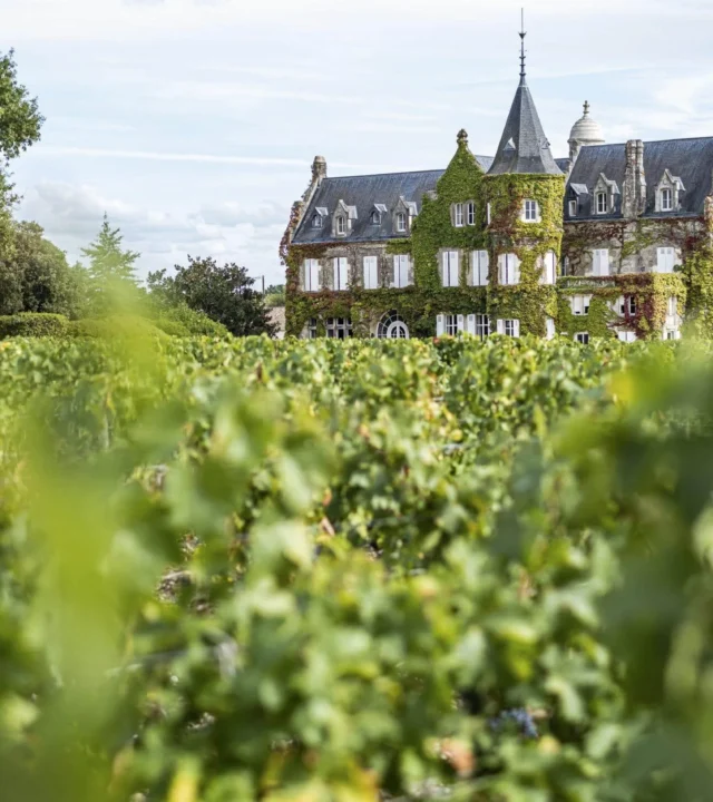Sorsi di Bordeaux